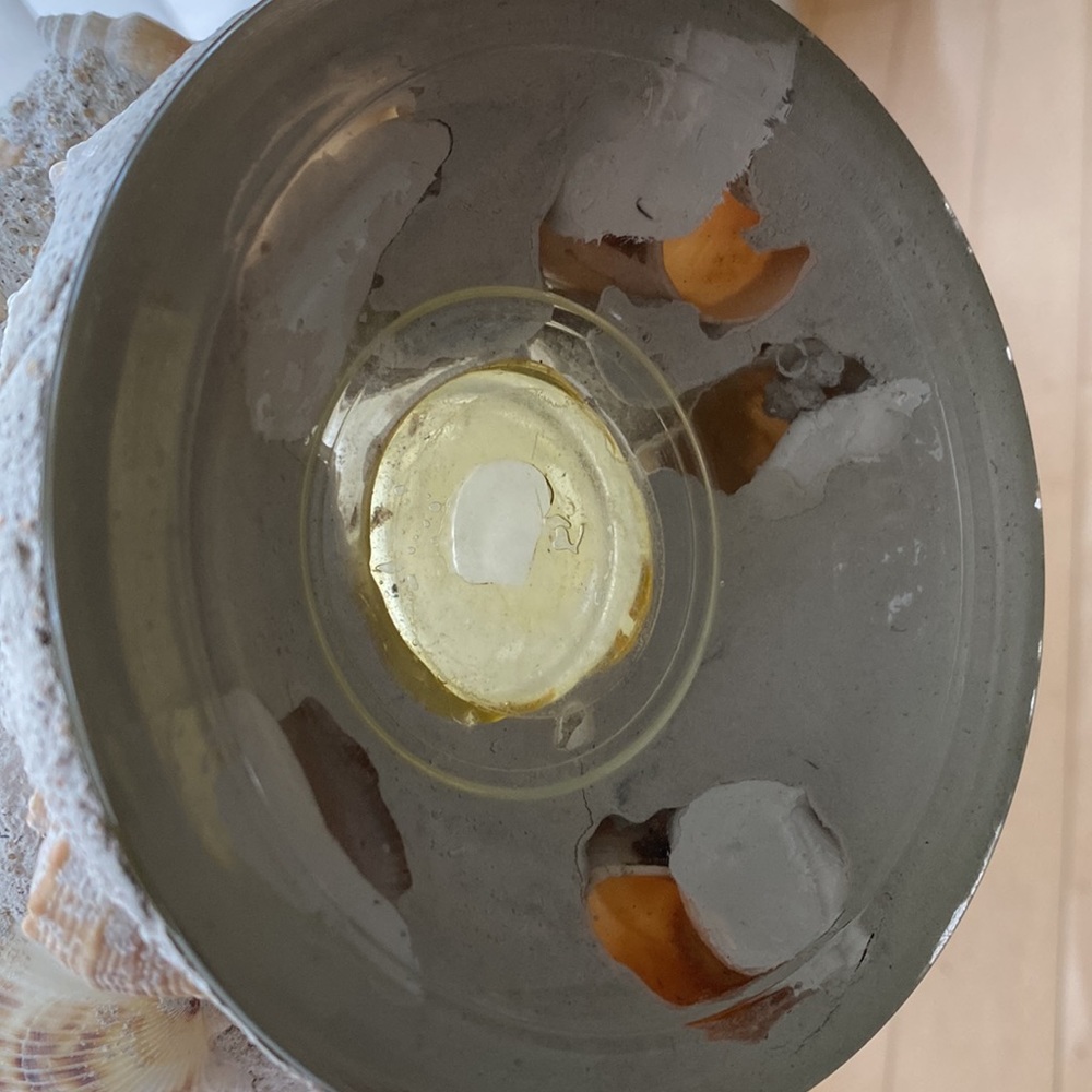 Home Essentials Candle Holder Sea Shell - Picture 9 of 12